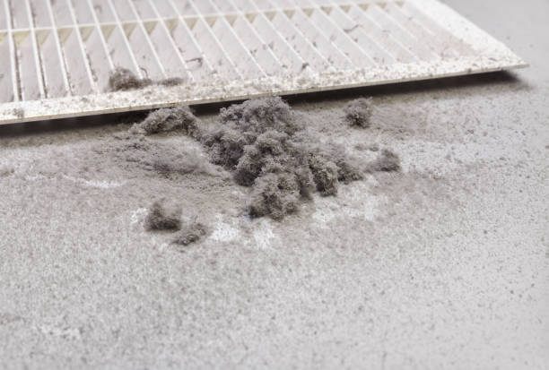 Best Residential Air Duct Cleaning  in Roseland, NJ